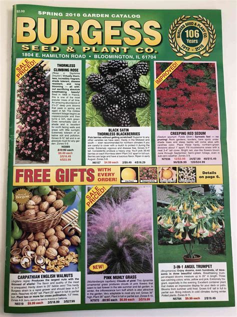 Flower Seed Catalogs