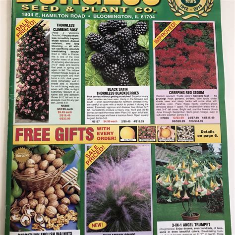 Flower Tree Vegetable And Fruit Catalogs By Mail