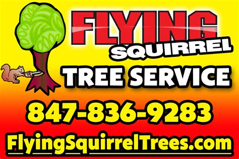 Flying Squirrel Tree Services