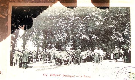 Foirail à Cubjac