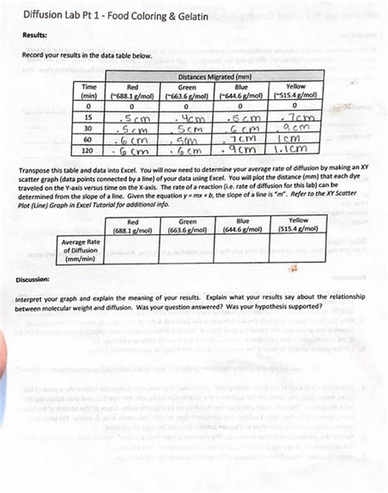 Food Coloring Diffusion Lab Report