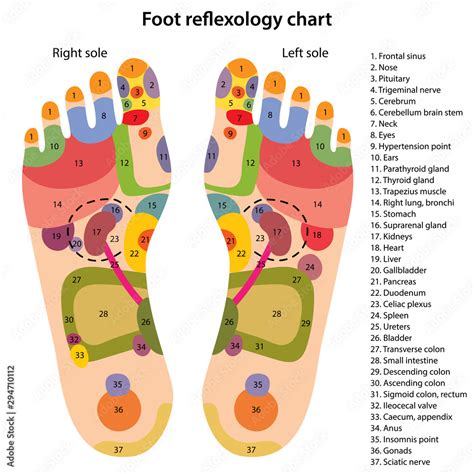 Foot Acupuncture Points Chart