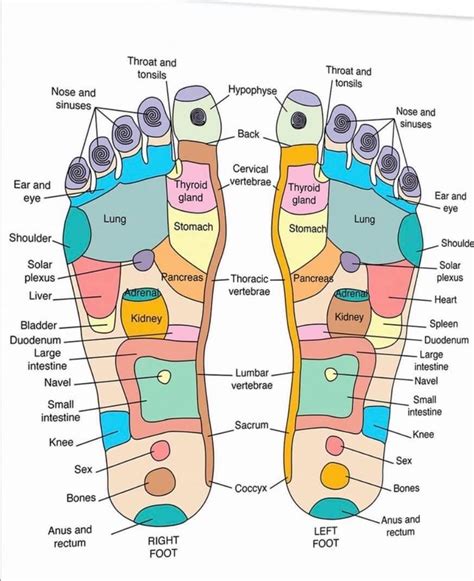 Foot Chart Pressure Points