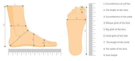 Foot Girth Measurement Chart