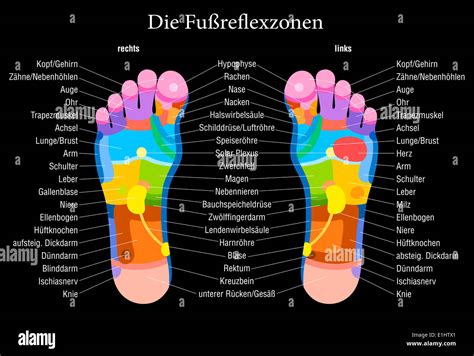 Foot Reflexology in Berlin | Fuss reflexzonenmassage - Smiling Feet