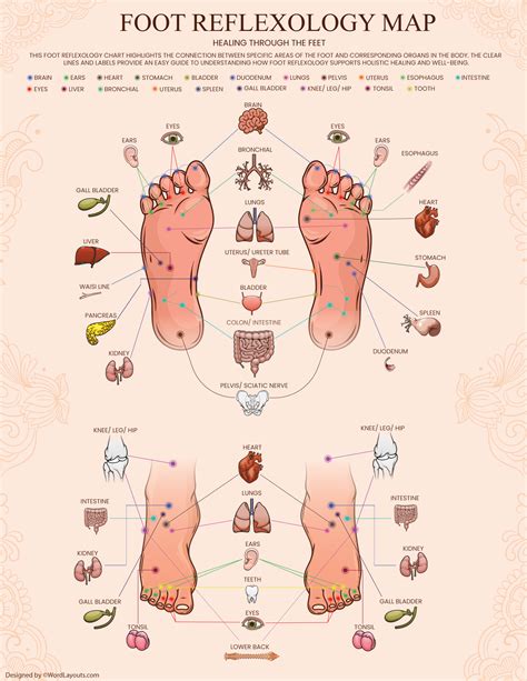 Foot To Organ Chart