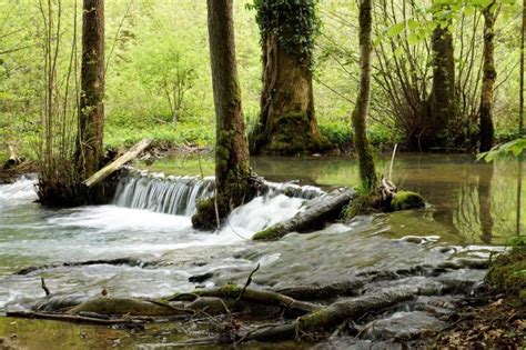 Forêt Communale de Lutter à Lutter
