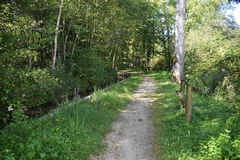 Forêt Domaniale de Chaumour à Montbard