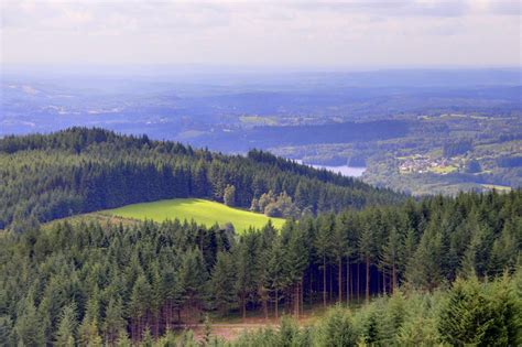 Forêt de Blessac à Blessac