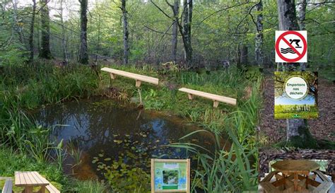 Forêt de Charmes à Charmes