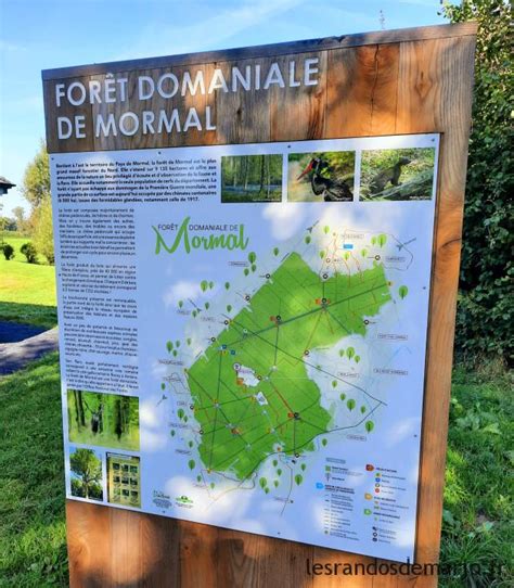 Forêt de Mormal à Locquignol