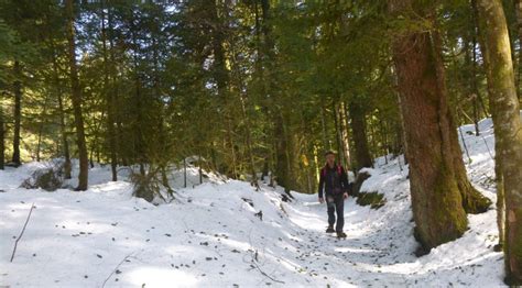 Forêt des Piards à Nanchez