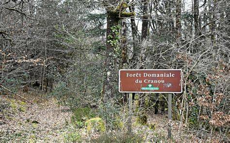 Forêt du Cranou à Hanvec