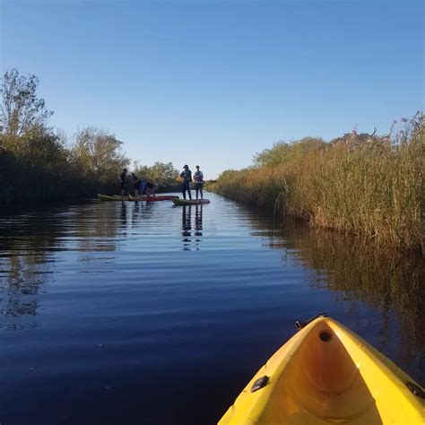 Force7 Maubuisson à Carcans