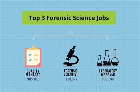 Forensic Scientist Career Path