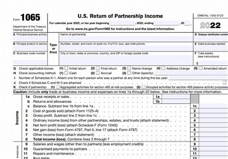 Form 1065 Example