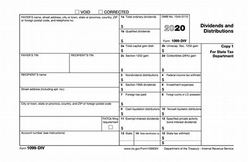 Form 1099 Div Example