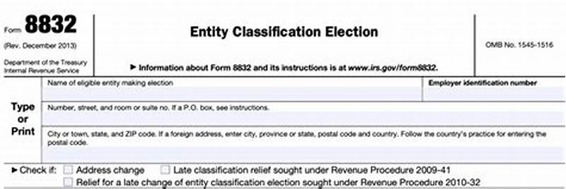 Form 8832 Entity Classification Election