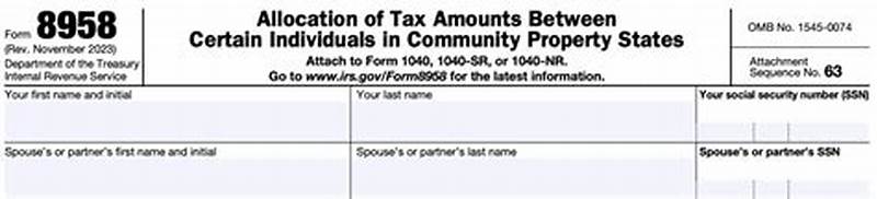 Form 8958 Explained