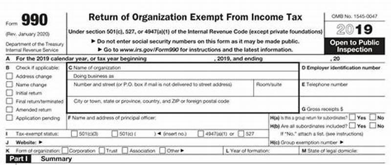 Form 990 Example