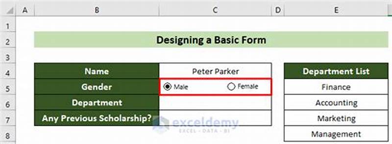 Form Design In Excel