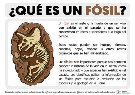 Fosil