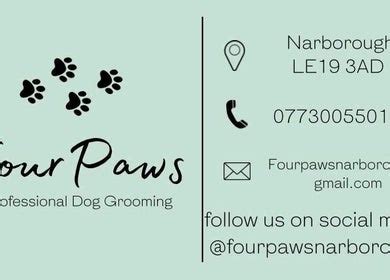 Four Paws Narborough Dog Grooming