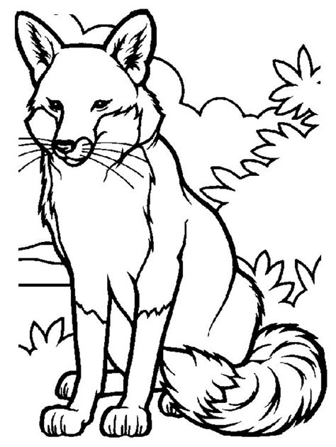 Fox Coloring Pages Free Printable