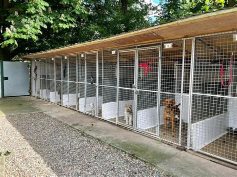 Foxhill Boarding Kennels, Cattery & Dog Grooming