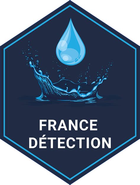 France detection à Torcy