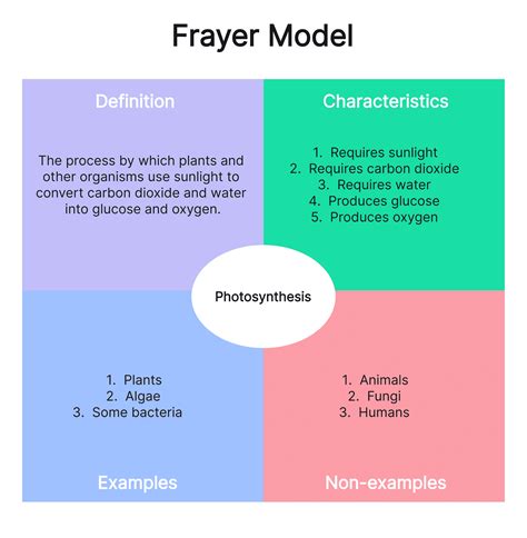 Frayers Model Template