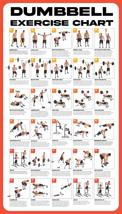 Free Dumbbell Exercise Chart
