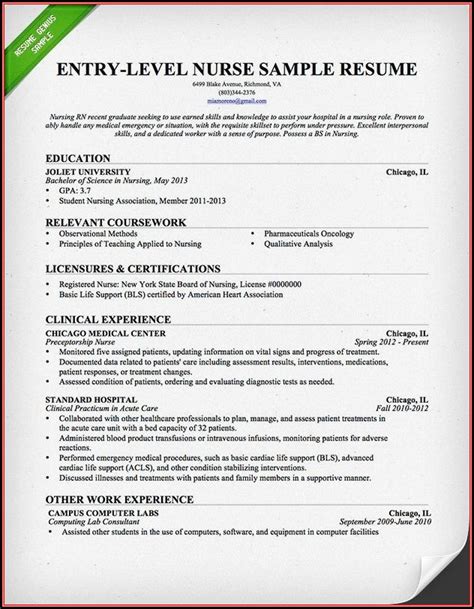 Free Entry Level Nurse Practitioner Resume Template