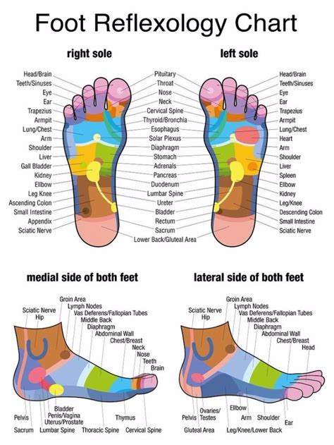 Free Foot Reflexology Chart