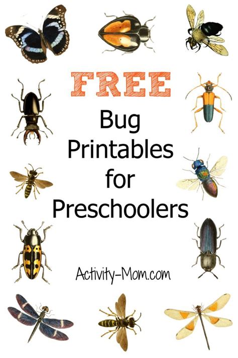 Free Insect Printables