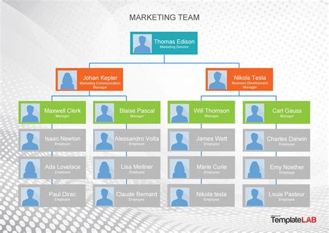 Free Organizational Chart Templates