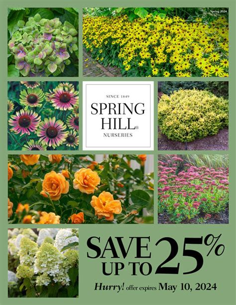 Free Perennial Flower Catalogs By Mail