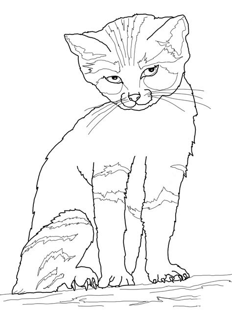 Free Printable Coloring Pages Cat