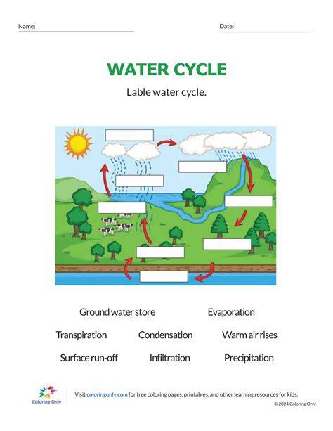 Free Printable Coloring Sheets Of The Water Cycle