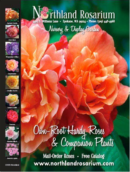 Free Rose Bush Catalogs