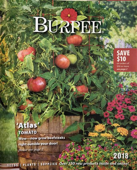 Free Seed Catalogs Burpee