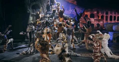 Free Time - Cats Trieste