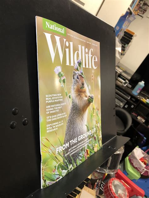 Free Wildlife Catalogs