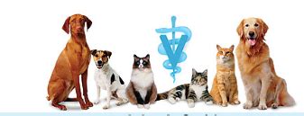 Friendly Pet Consultancy and Clinic(Dr N.K Sharma) B.V.Sc AH MVSc