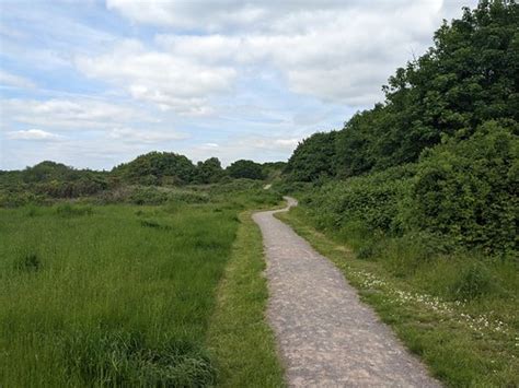 Friends of Peartree Green Local Nature Reserve