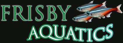 Frisby Aquatics