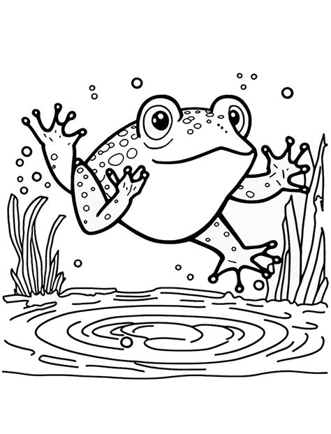 Frog Drawing Printable
