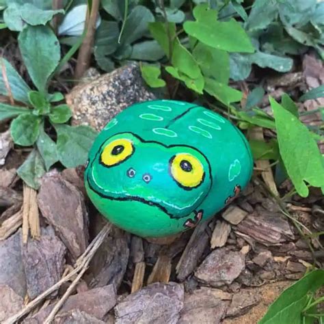 Frog on a rock Onlyfans Leak 57 HD