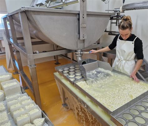 Fromagerie GAEC Pic à Monts-de-Randon