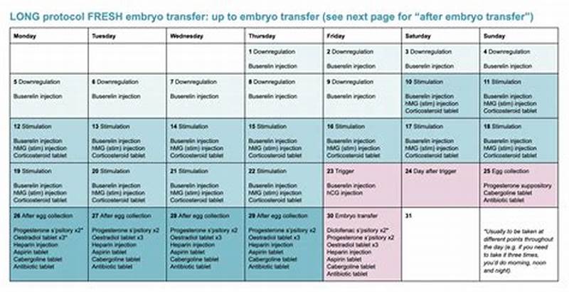 Frozen Embryo Transfer Calendar Using Birth Control
